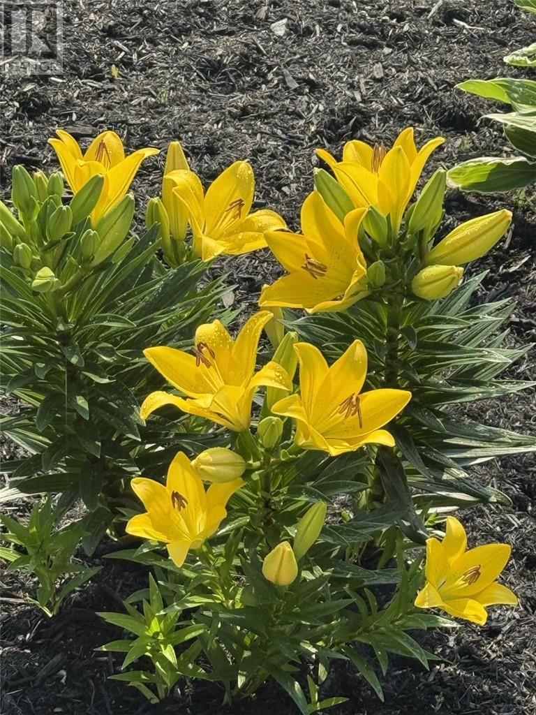 2507 Navanod Road, Sudbury, Ontario  P3B 1A4 - Photo 53 - 2125203