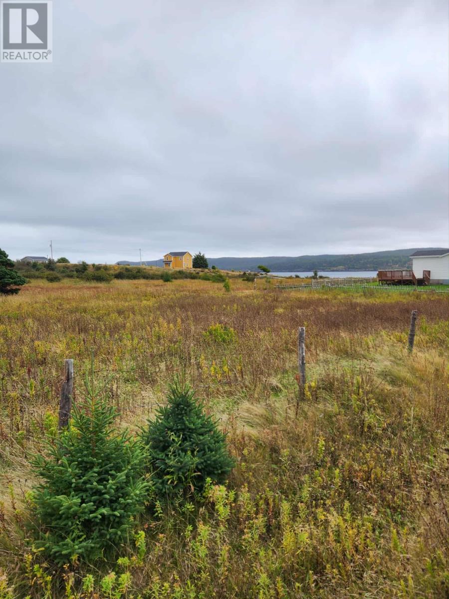 0 New Line, Renews, Newfoundland & Labrador  A0A 3N0 - Photo 1 - 1291599