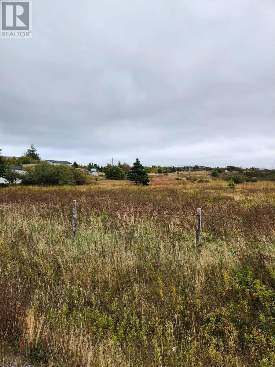 0 New Line, Renews, Newfoundland & Labrador  A0A 3N0 - Photo 3 - 1291599