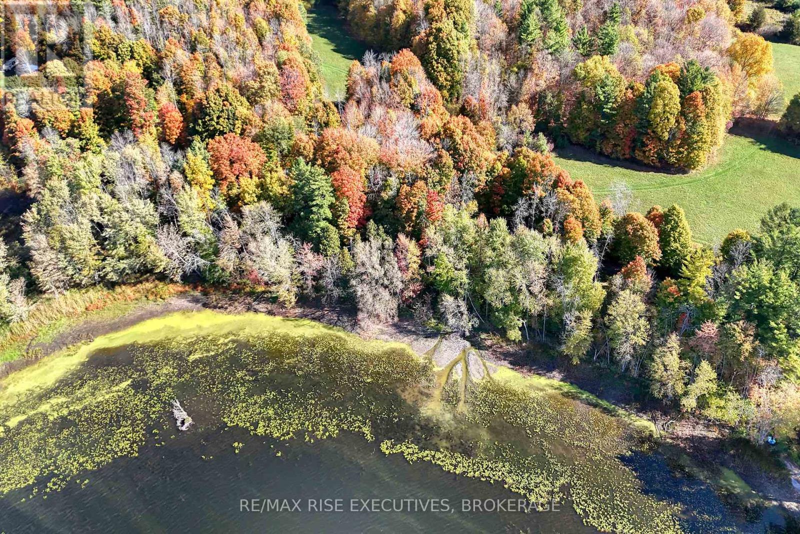 465k Lyndhurst Road, Leeds And The Thousand Islands, Ontario  K0E 1N0 - Photo 44 - X12466673