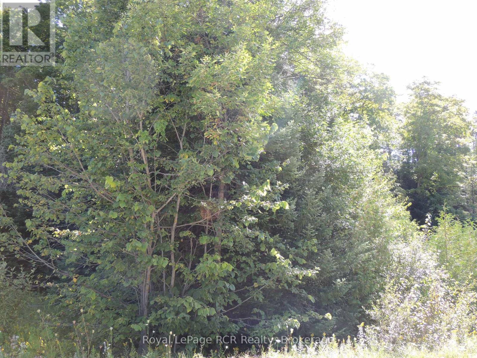 Lt 35 Highland Drive, West Grey, Ontario  N0C 1H0 - Photo 2 - X12467549