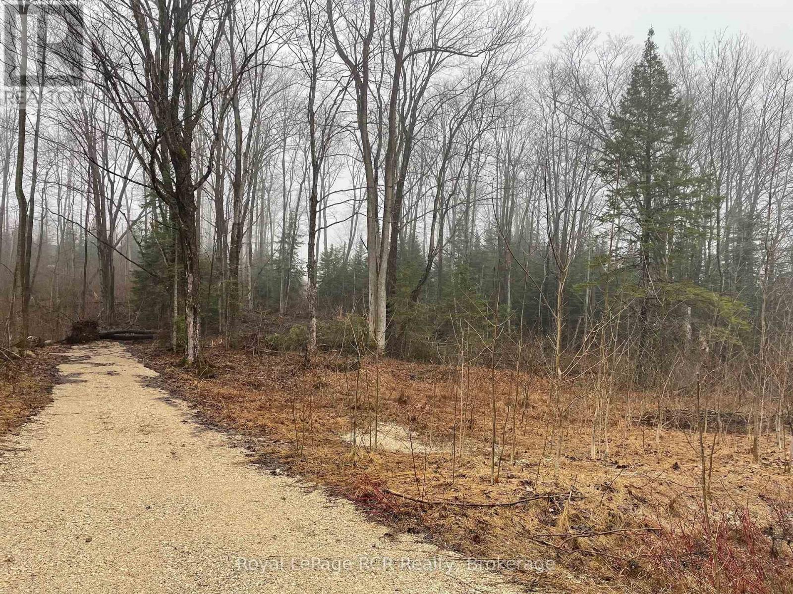 Lt 35 Highland Drive, West Grey, Ontario  N0C 1H0 - Photo 8 - X12467549