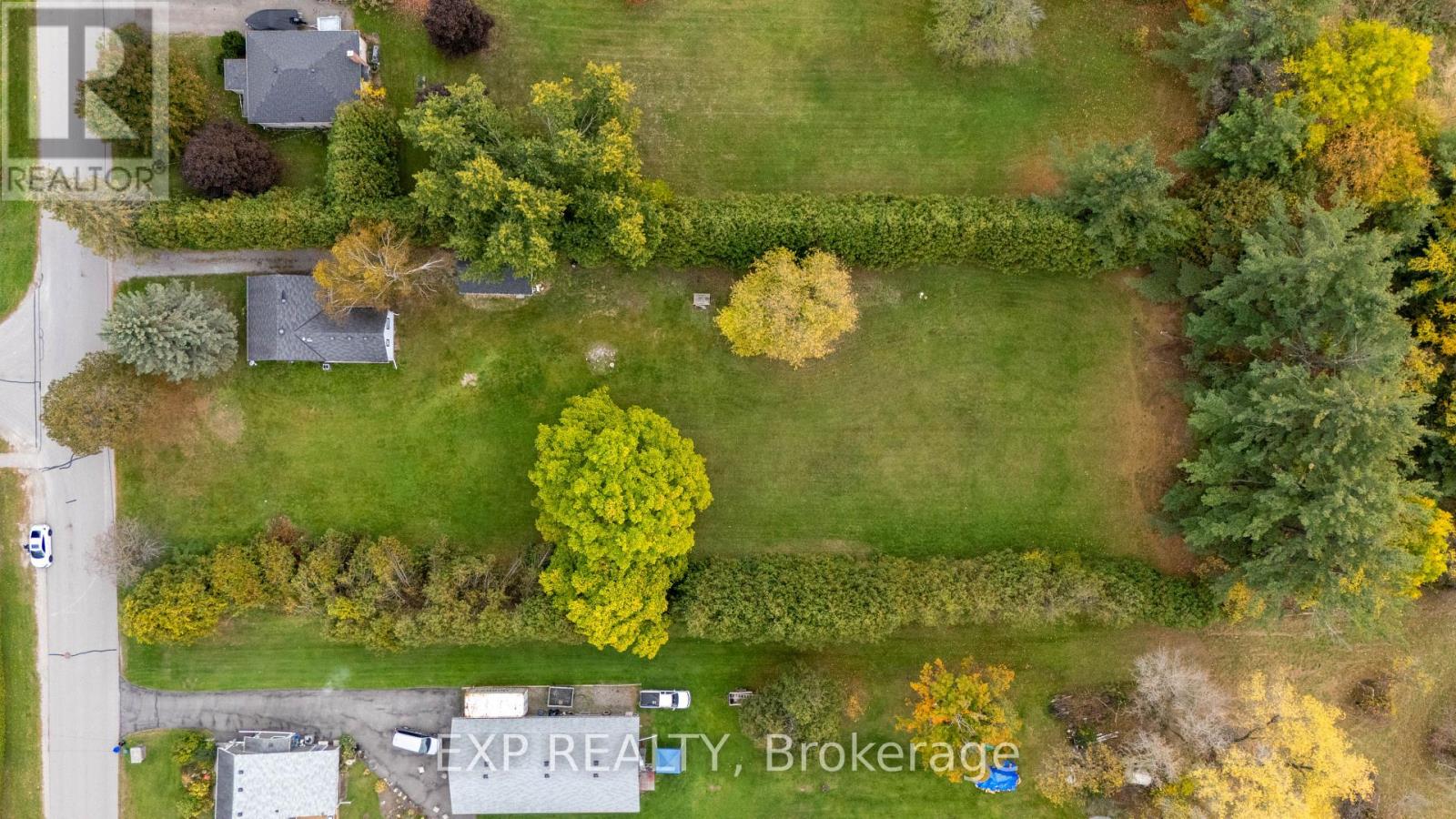 51 Burke Street, Georgina, Ontario  L0E 1R0 - Photo 28 - N12467528