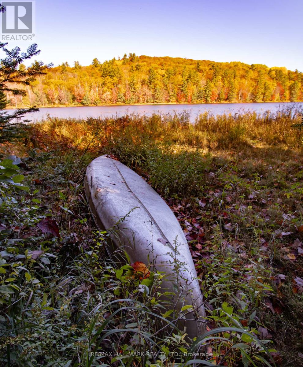 3517 Haliburton Lake Road, Dysart Et Al, Ontario  K0M 1S0 - Photo 28 - X12467541