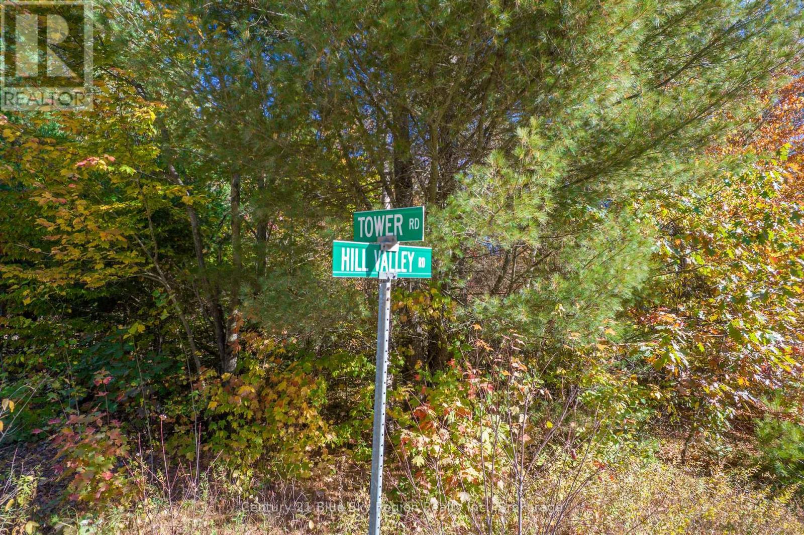 671 Tower Road, Strong, Ontario  P0A 1Z0 - Photo 10 - X12467663