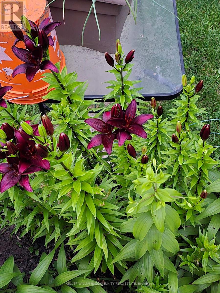 112 Lansdowne Street W, Peterborough, Ontario  K9J 1Y1 - Photo 46 - X12467781