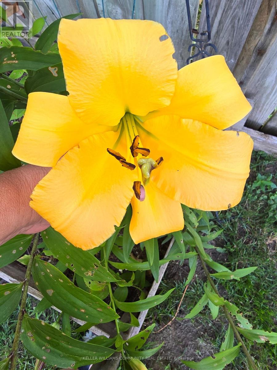 112 Lansdowne Street W, Peterborough, Ontario  K9J 1Y1 - Photo 47 - X12467781