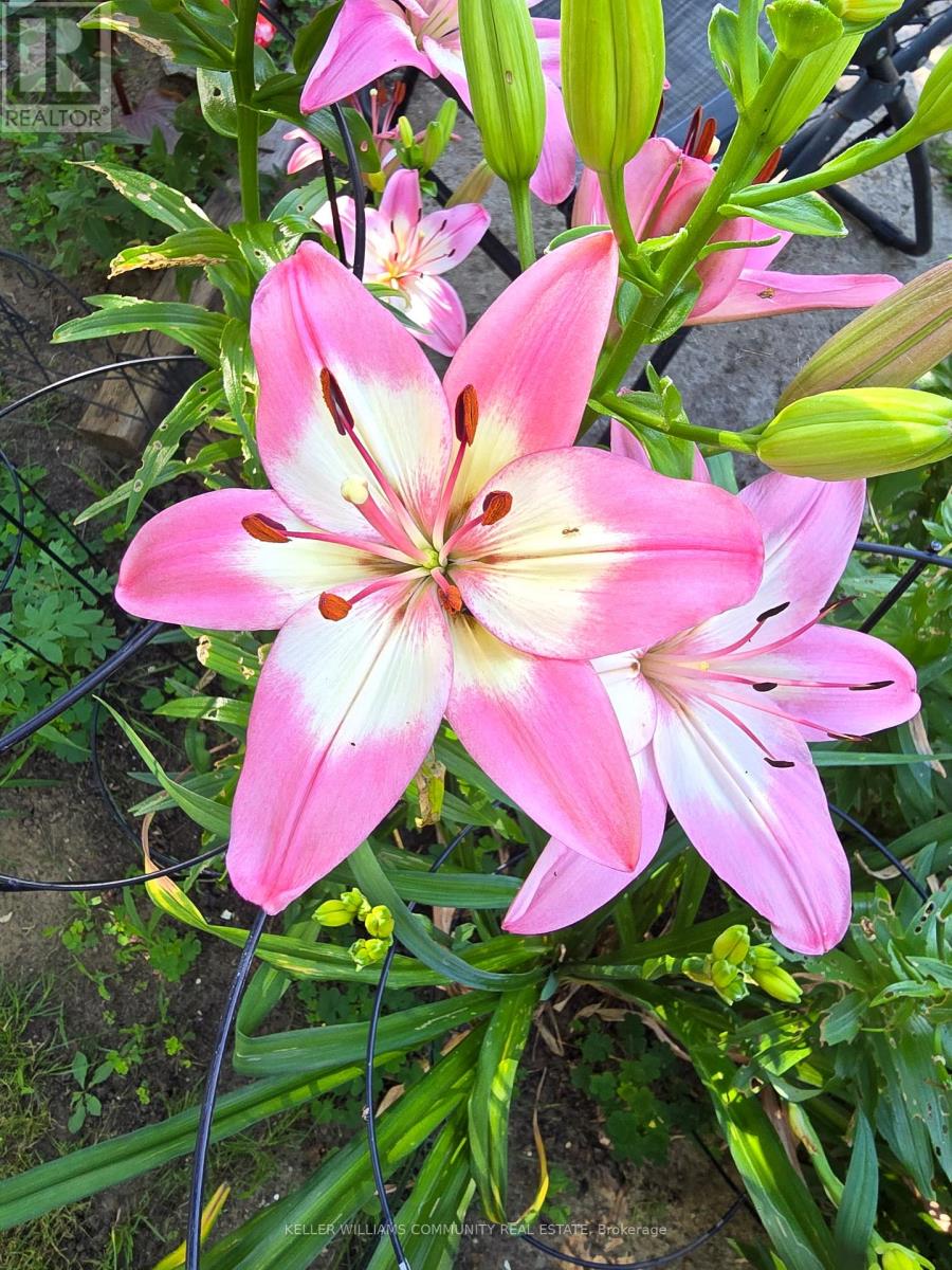 112 Lansdowne Street W, Peterborough, Ontario  K9J 1Y1 - Photo 48 - X12467781