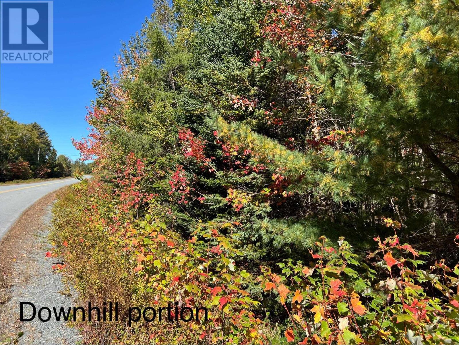 Lot Huey Lake Road, Mount Pleasant, Nova Scotia  B0R 1A0 - Photo 16 - 202525617