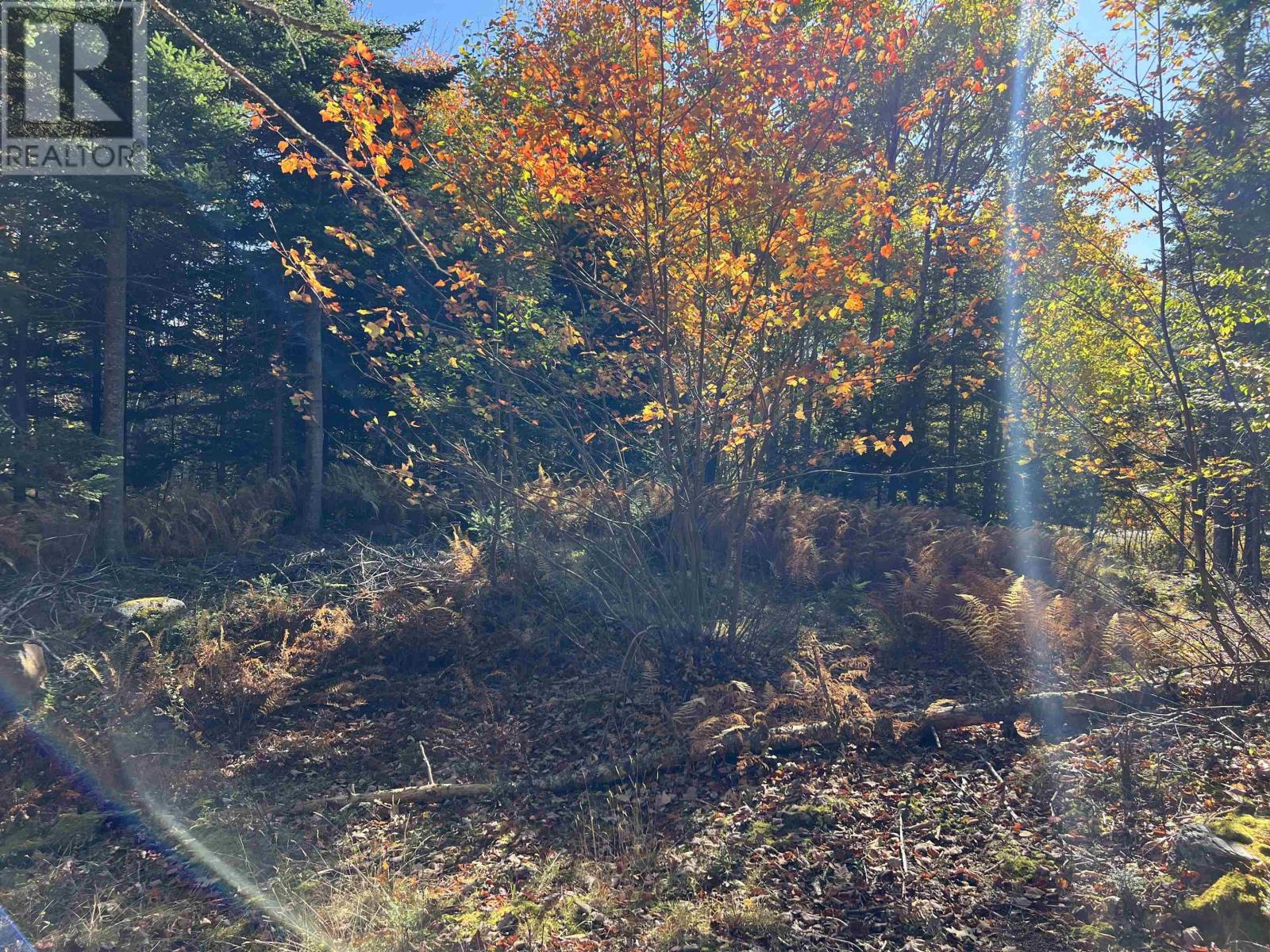 Lot Huey Lake Road, Mount Pleasant, Nova Scotia  B0R 1A0 - Photo 10 - 202525617