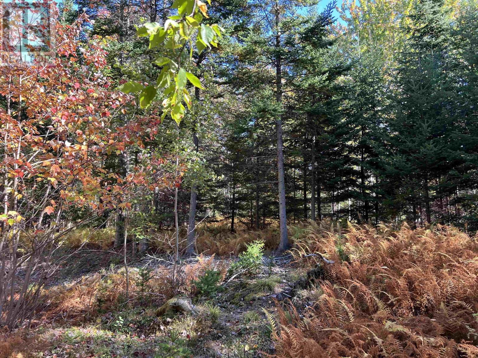 Lot Huey Lake Road, Mount Pleasant, Nova Scotia  B0R 1A0 - Photo 13 - 202525617