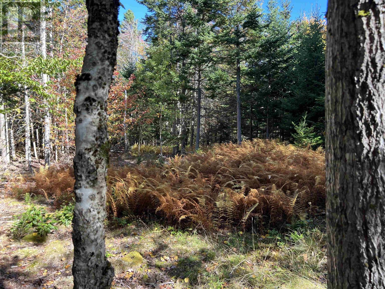 Lot Huey Lake Road, Mount Pleasant, Nova Scotia  B0R 1A0 - Photo 14 - 202525617