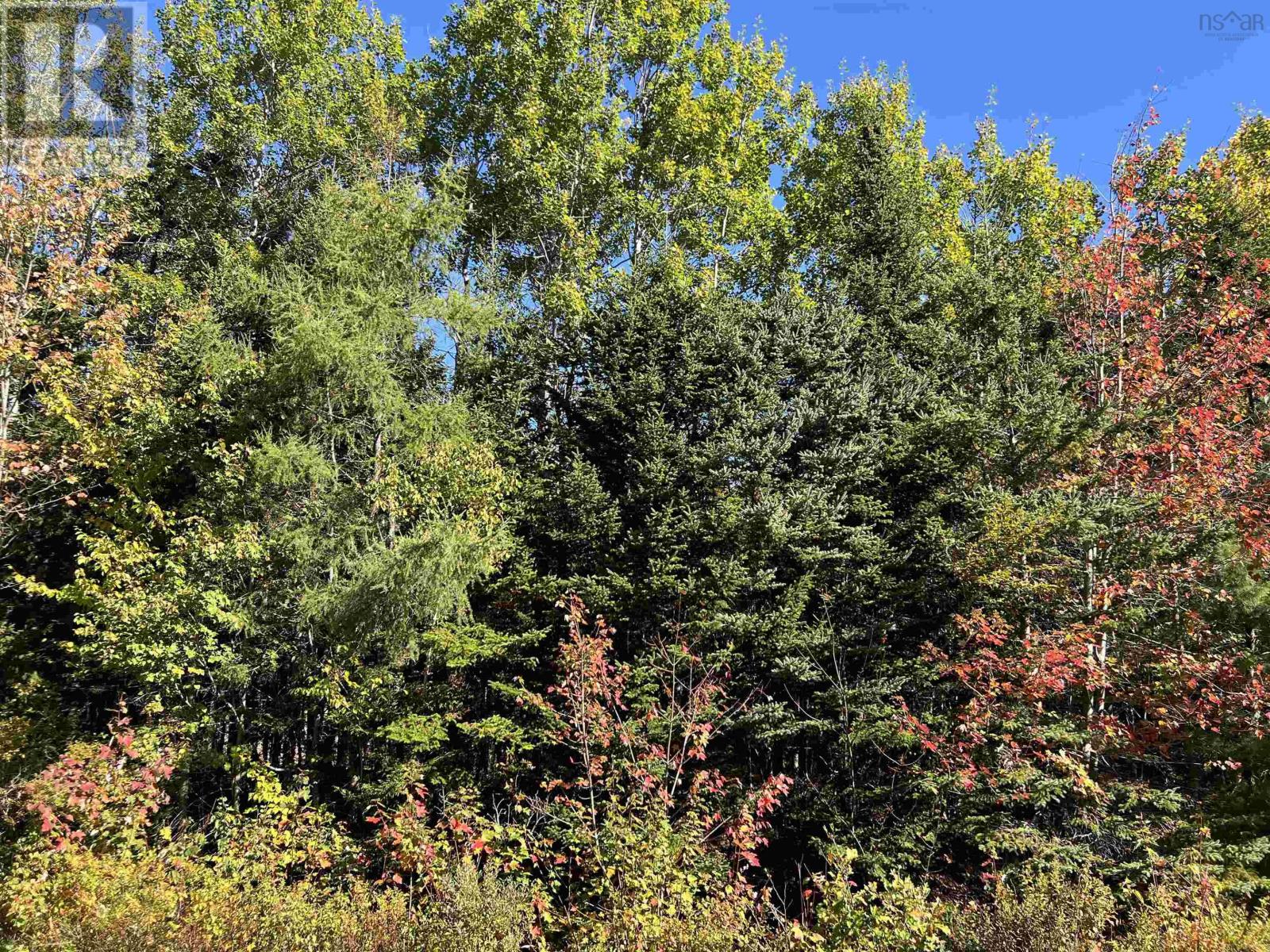 Lot Huey Lake Road, Mount Pleasant, Nova Scotia  B0R 1A0 - Photo 17 - 202525617