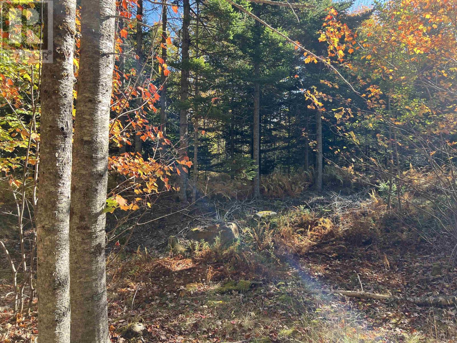 Lot Huey Lake Road, Mount Pleasant, Nova Scotia  B0R 1A0 - Photo 1 - 202525617