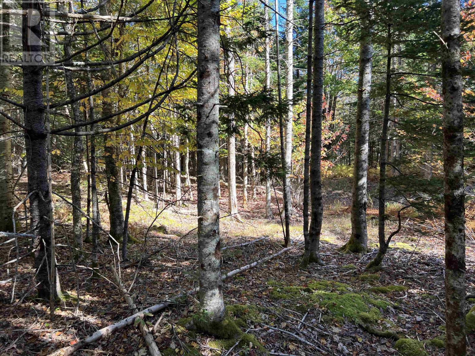 Lot Huey Lake Road, Mount Pleasant, Nova Scotia  B0R 1A0 - Photo 11 - 202525617