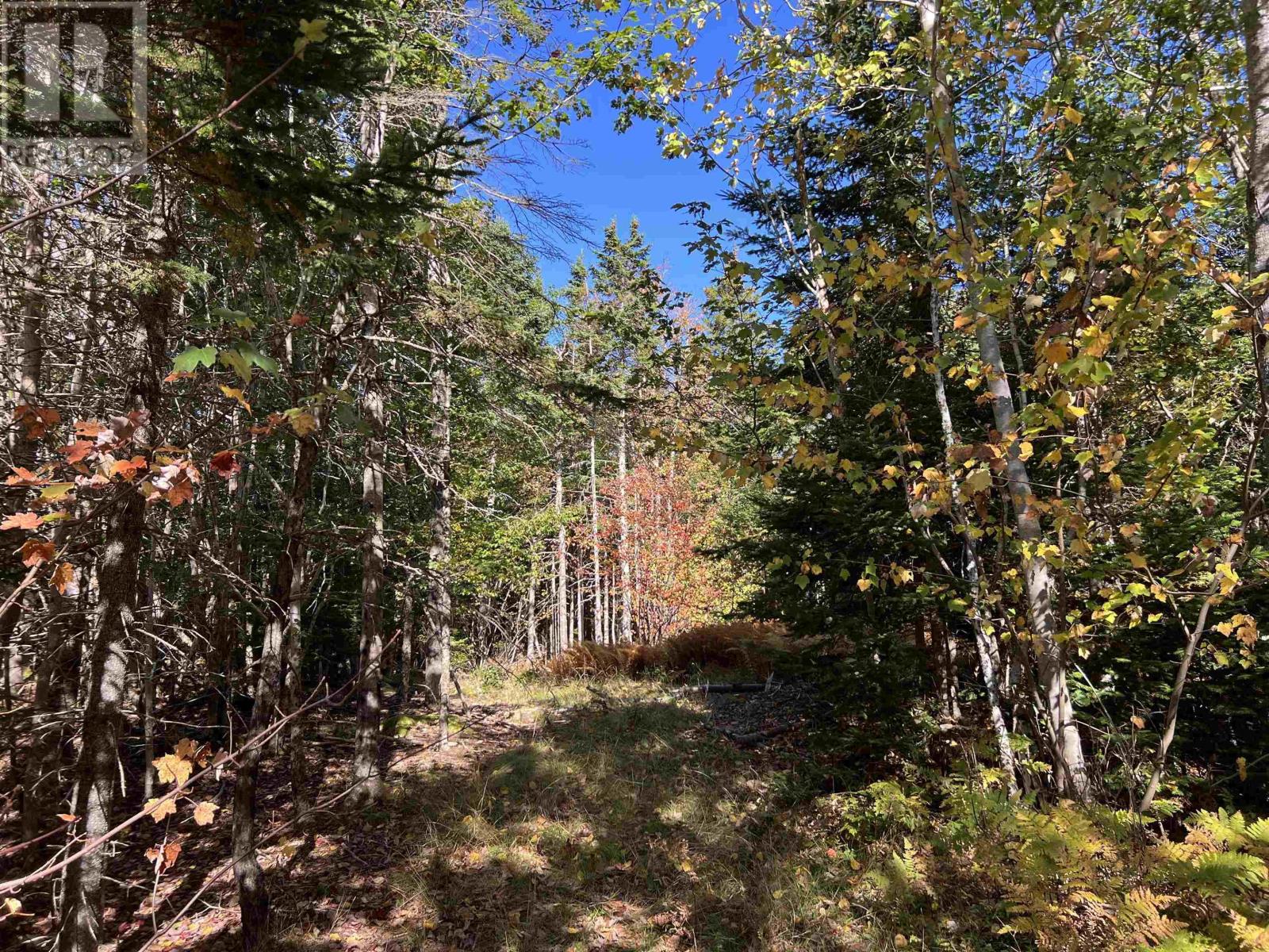 Lot Huey Lake Road, Mount Pleasant, Nova Scotia  B0R 1A0 - Photo 15 - 202525617