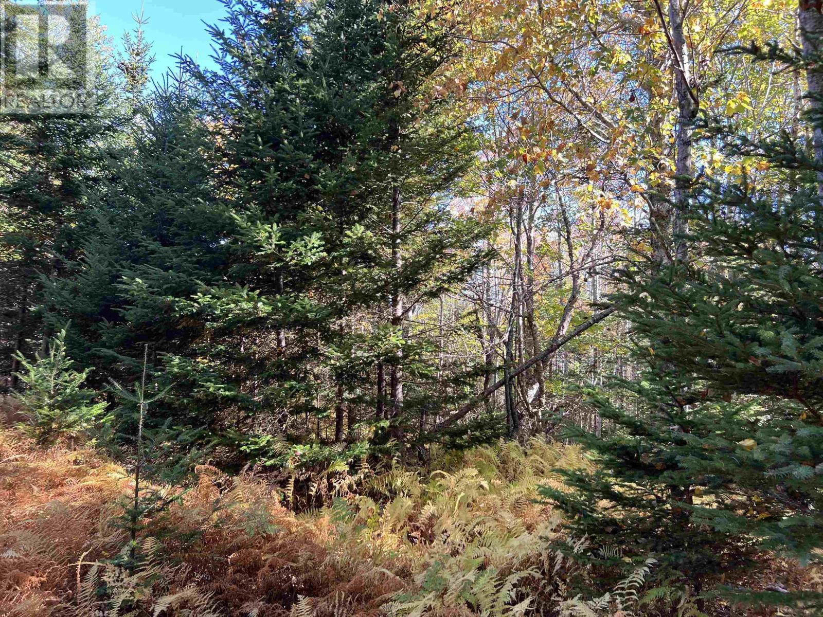 Lot Huey Lake Road, Mount Pleasant, Nova Scotia  B0R 1A0 - Photo 3 - 202525617
