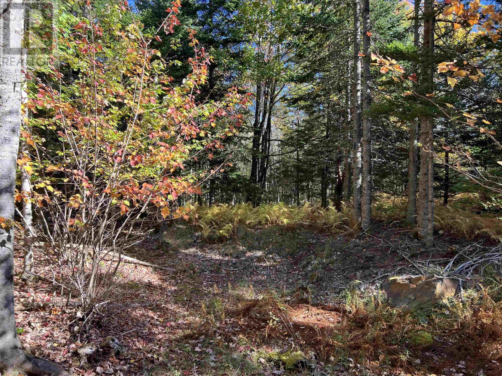 Lot Huey Lake Road, Mount Pleasant, Nova Scotia  B0R 1A0 - Photo 8 - 202525617