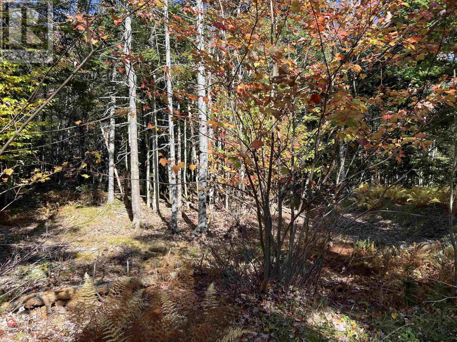 Lot Huey Lake Road, Mount Pleasant, Nova Scotia  B0R 1A0 - Photo 7 - 202525617