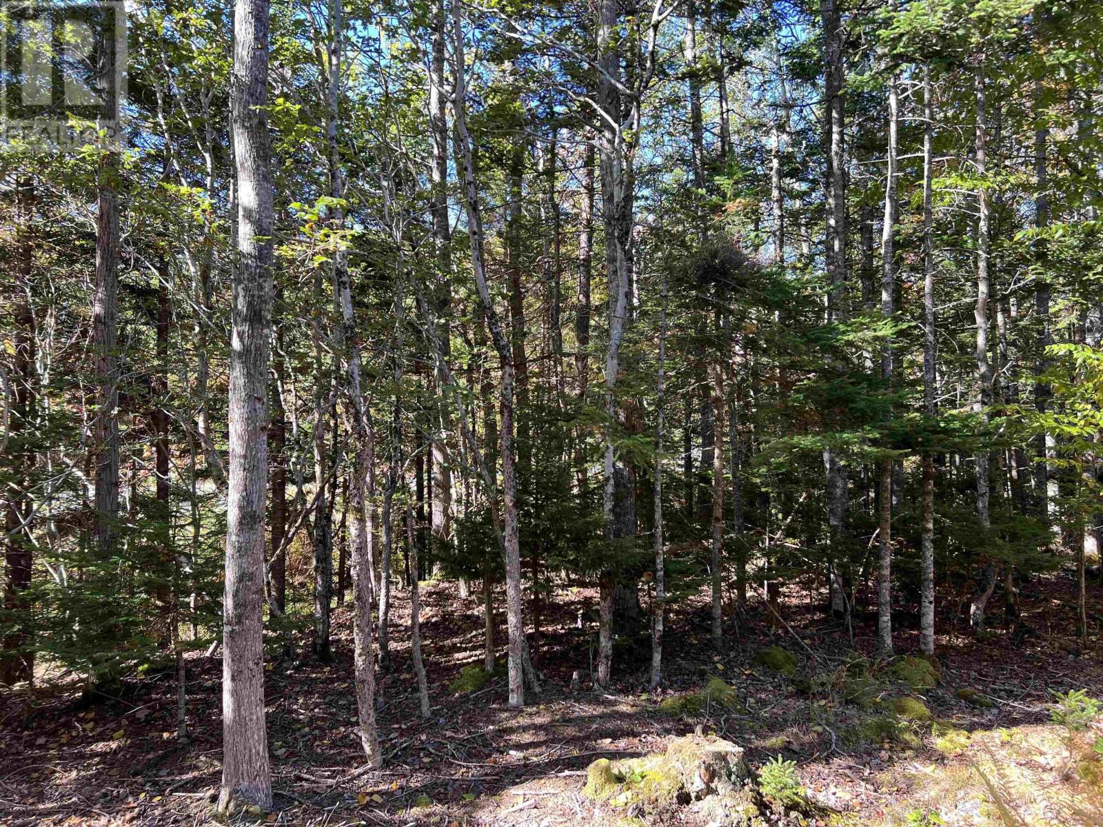 Lot Huey Lake Road, Mount Pleasant, Nova Scotia  B0R 1A0 - Photo 6 - 202525617