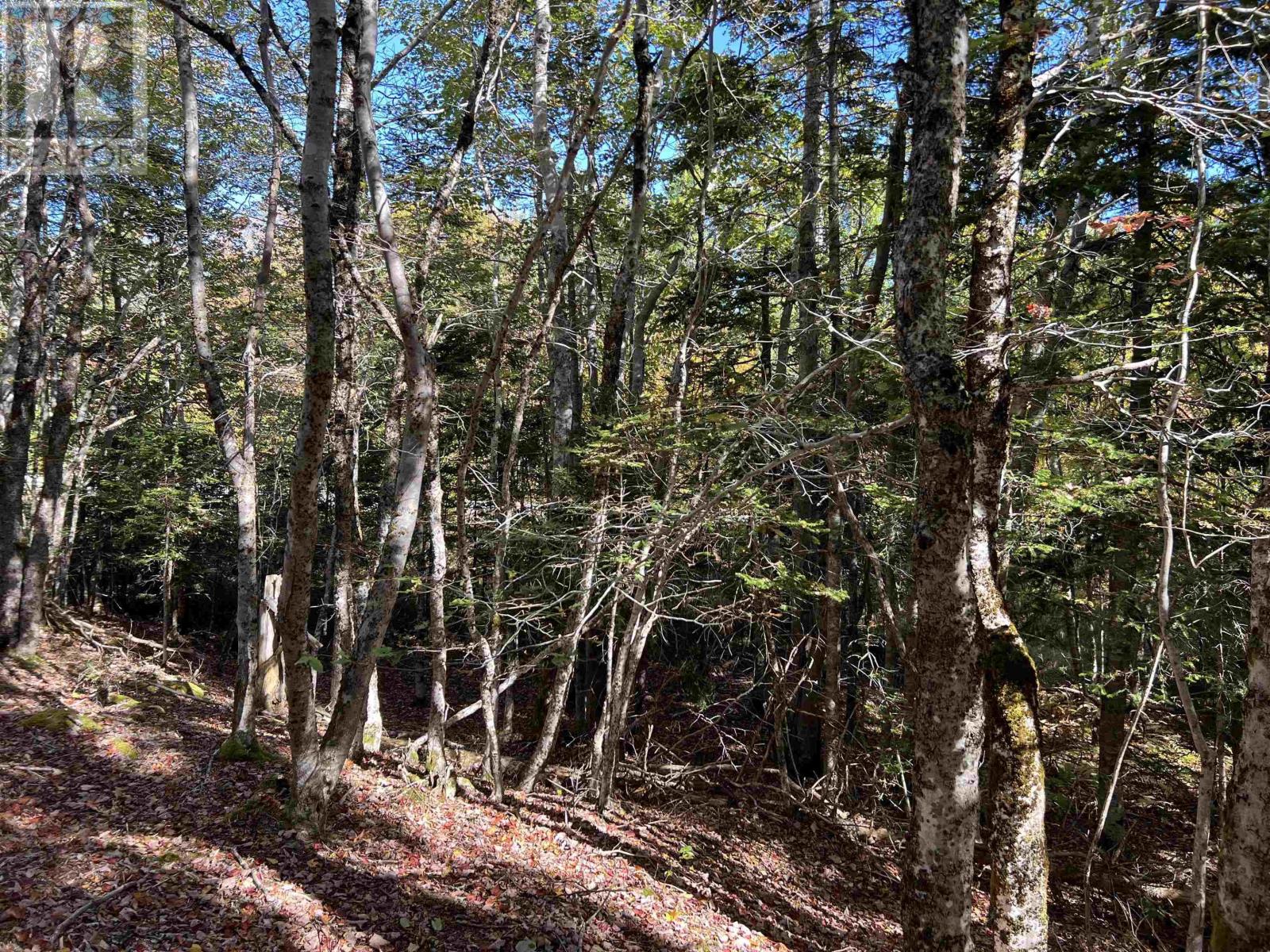 Lot Huey Lake Road, Mount Pleasant, Nova Scotia  B0R 1A0 - Photo 20 - 202525617