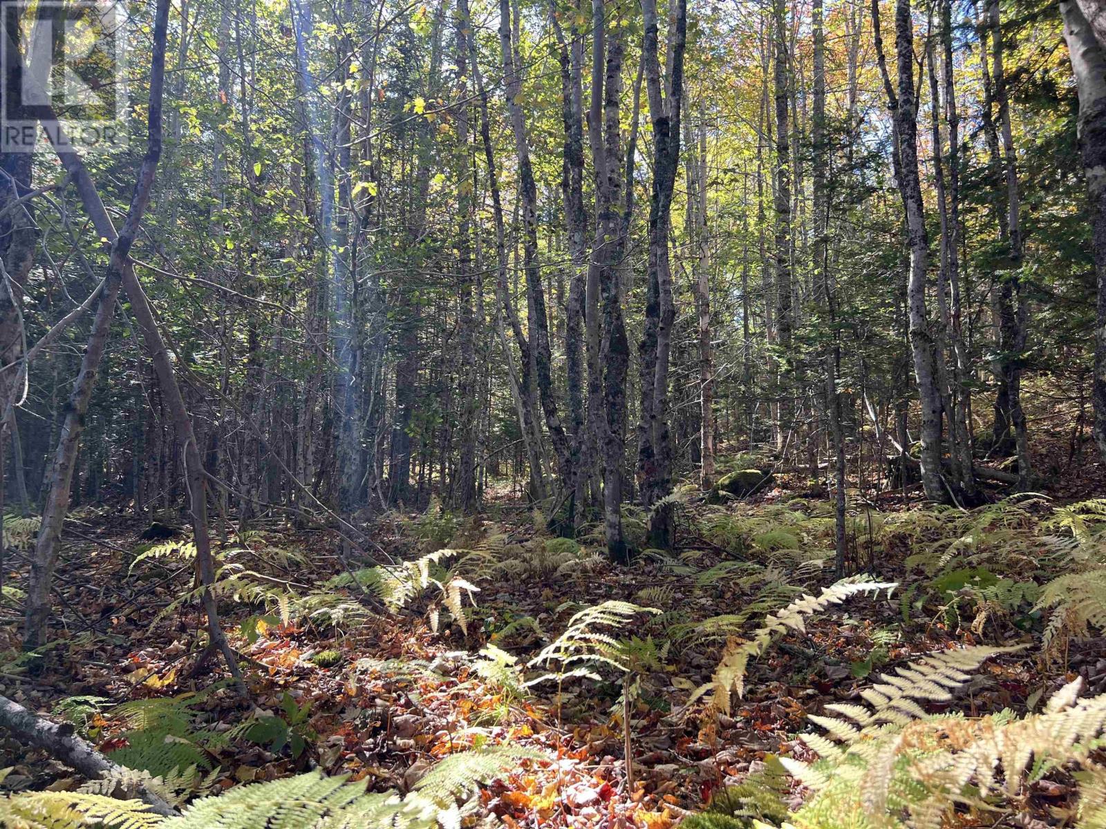 Lot Huey Lake Road, Mount Pleasant, Nova Scotia  B0R 1A0 - Photo 19 - 202525617