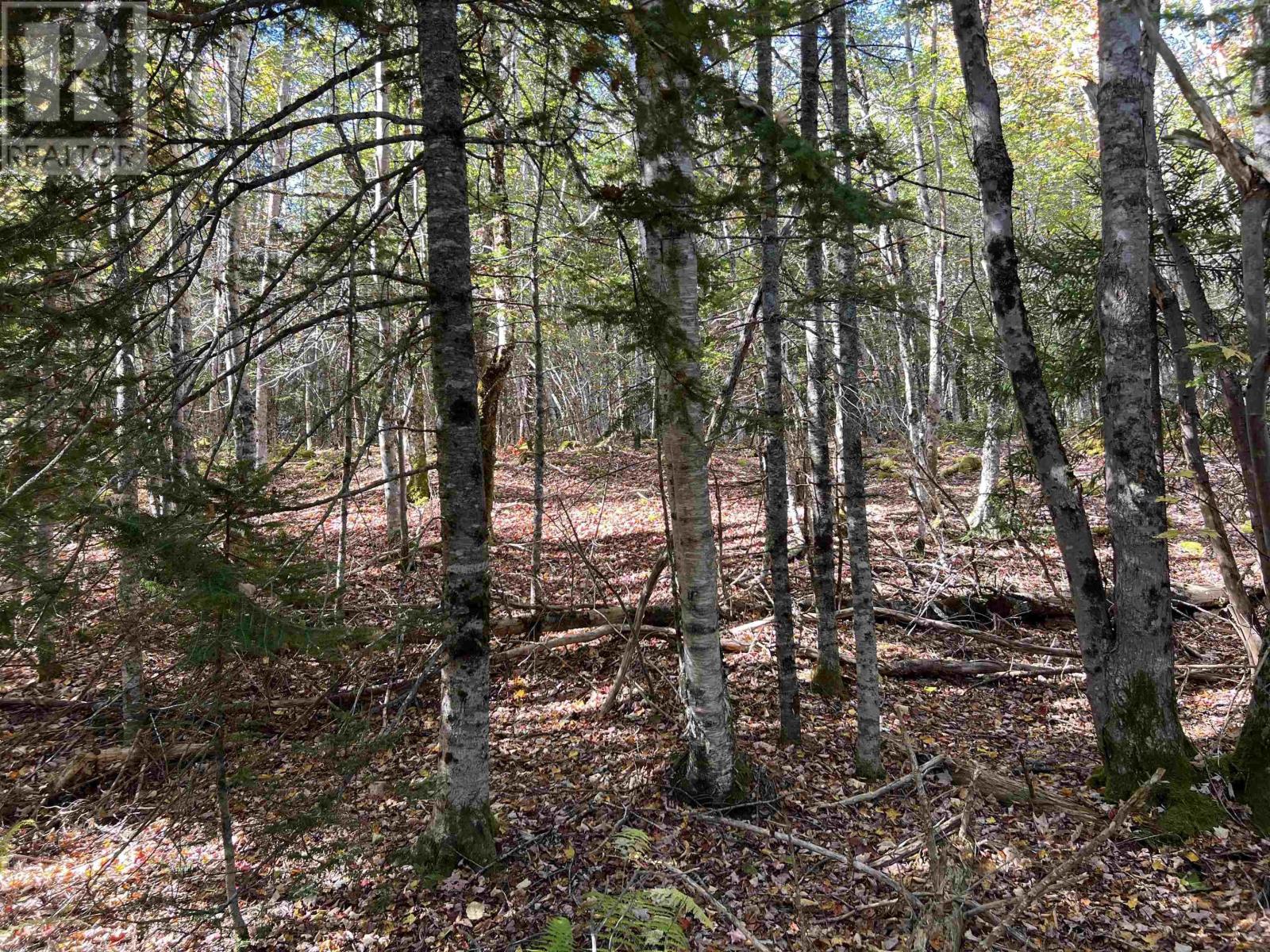 Lot Huey Lake Road, Mount Pleasant, Nova Scotia  B0R 1A0 - Photo 18 - 202525617