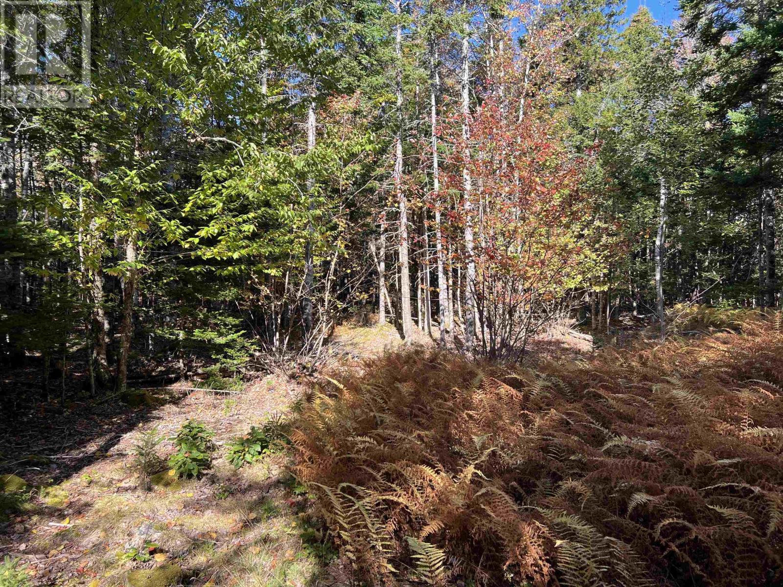 Lot Huey Lake Road, Mount Pleasant, Nova Scotia  B0R 1A0 - Photo 9 - 202525617
