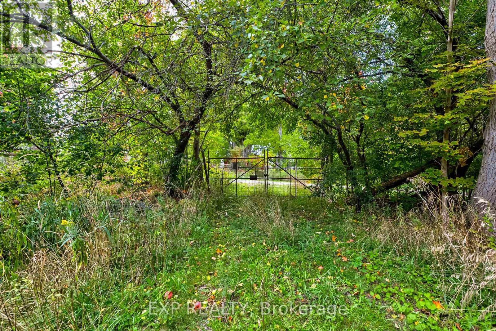 3791 Vivian Road, Whitchurch-Stouffville, Ontario  L0G 1E0 - Photo 19 - N12467732