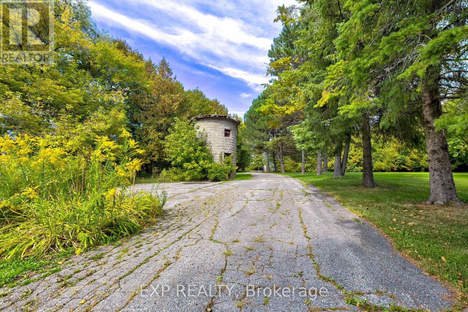 3791 Vivian Road, Whitchurch-Stouffville, Ontario  L0G 1E0 - Photo 5 - N12467732
