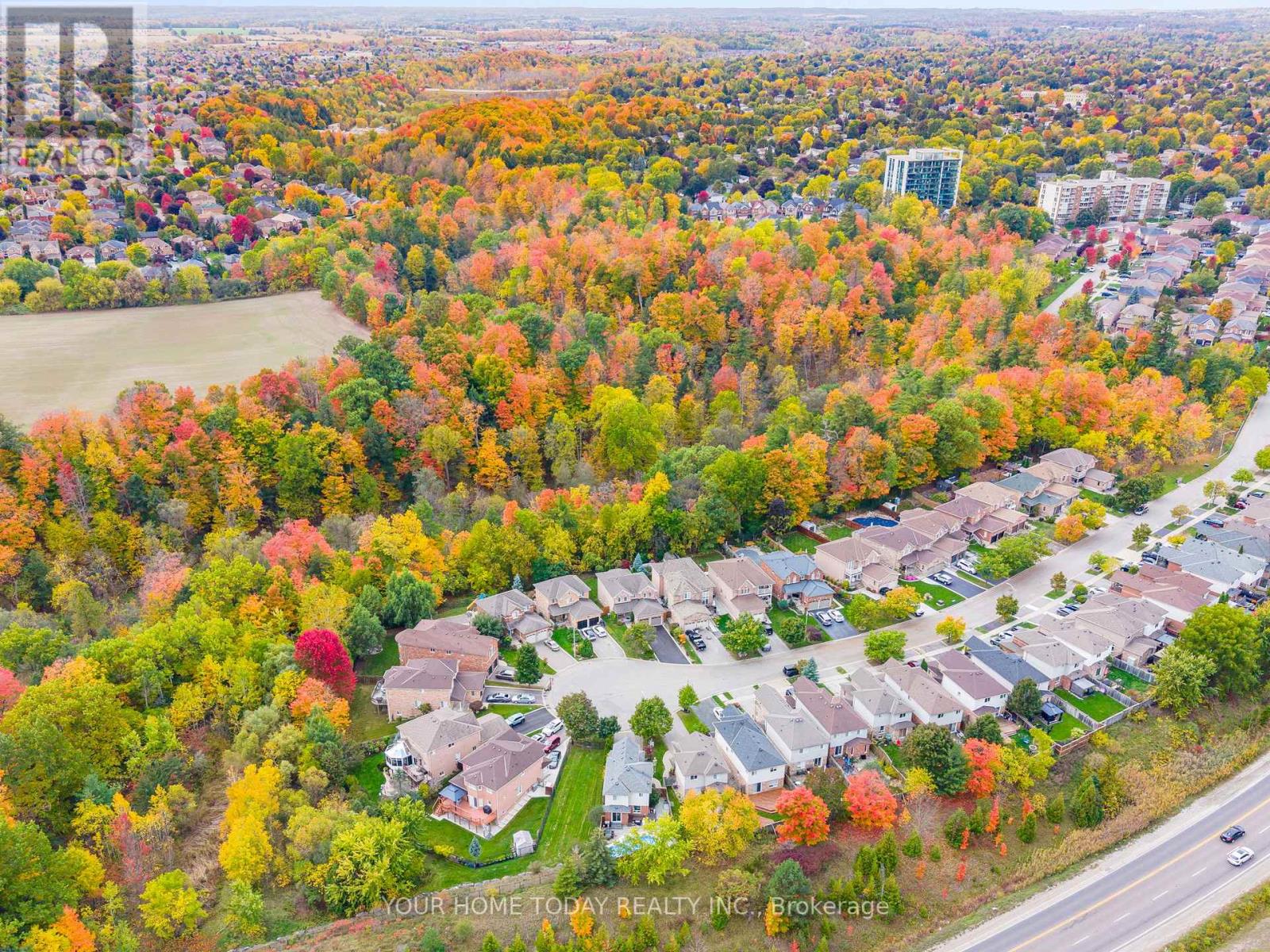 114 Russell Street, Halton Hills, Ontario  L7G 5Z1 - Photo 46 - W12465533