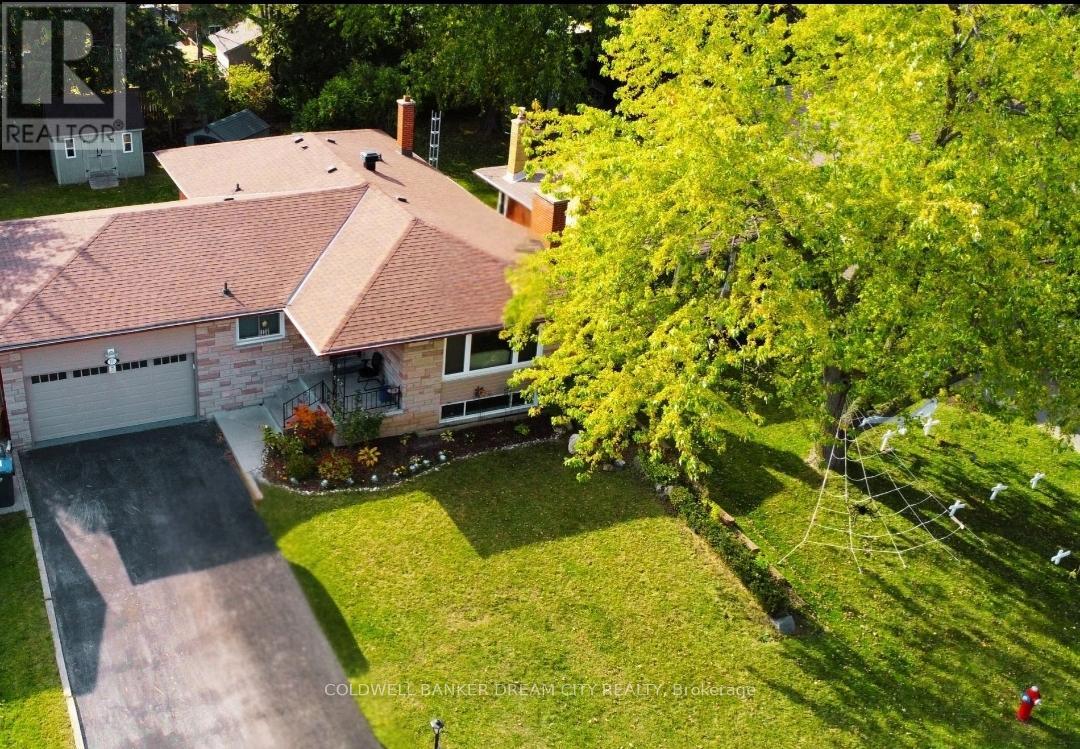 Lower - 231 Elizabeth Street S, Brampton, Ontario  L6Y 1S2 - Photo 12 - W12466042