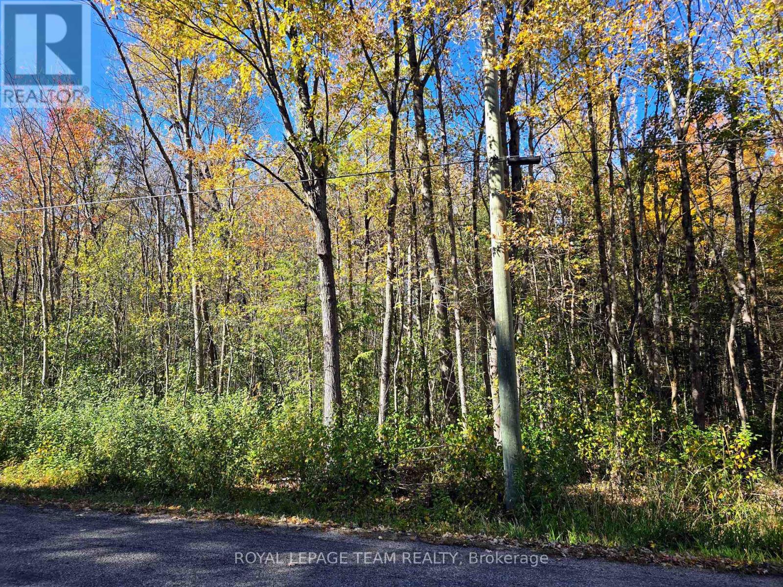 00 Dukelow Road, Edwardsburgh/cardinal, Ontario  K0E 1X0 - Photo 1 - X12467818