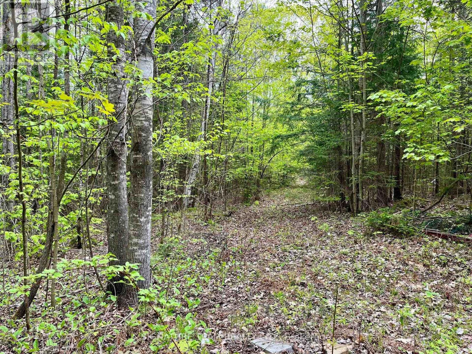 122 Western Drive, Bonnechere Valley, Ontario  K0J 1T0 - Photo 11 - X12467857