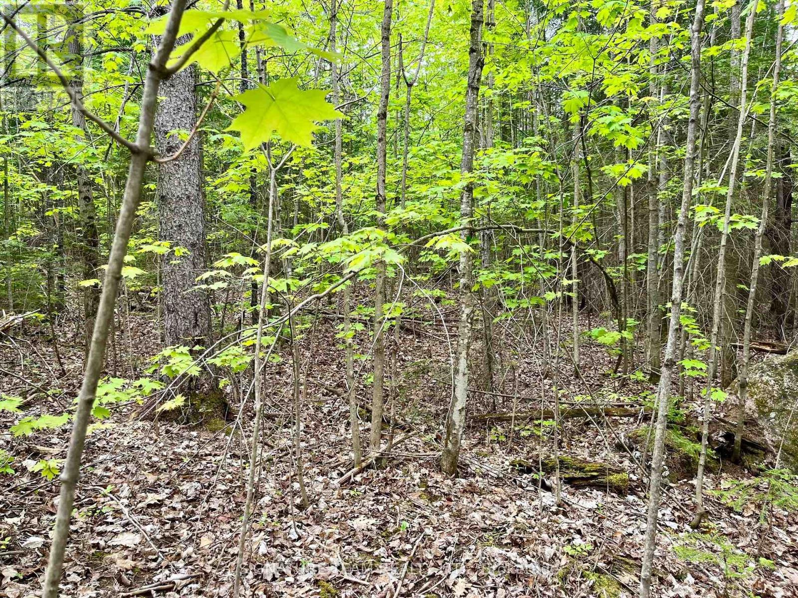 122 Western Drive, Bonnechere Valley, Ontario  K0J 1T0 - Photo 12 - X12467857