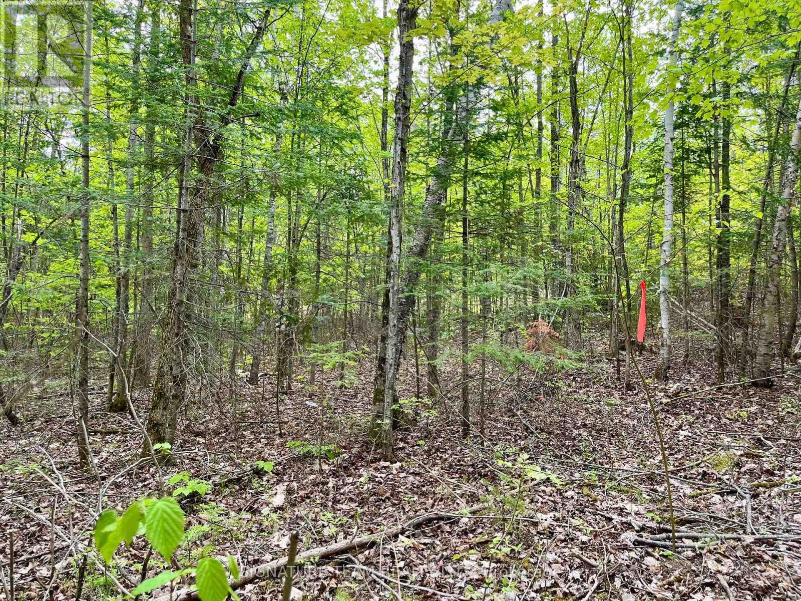 122 Western Drive, Bonnechere Valley, Ontario  K0J 1T0 - Photo 13 - X12467857