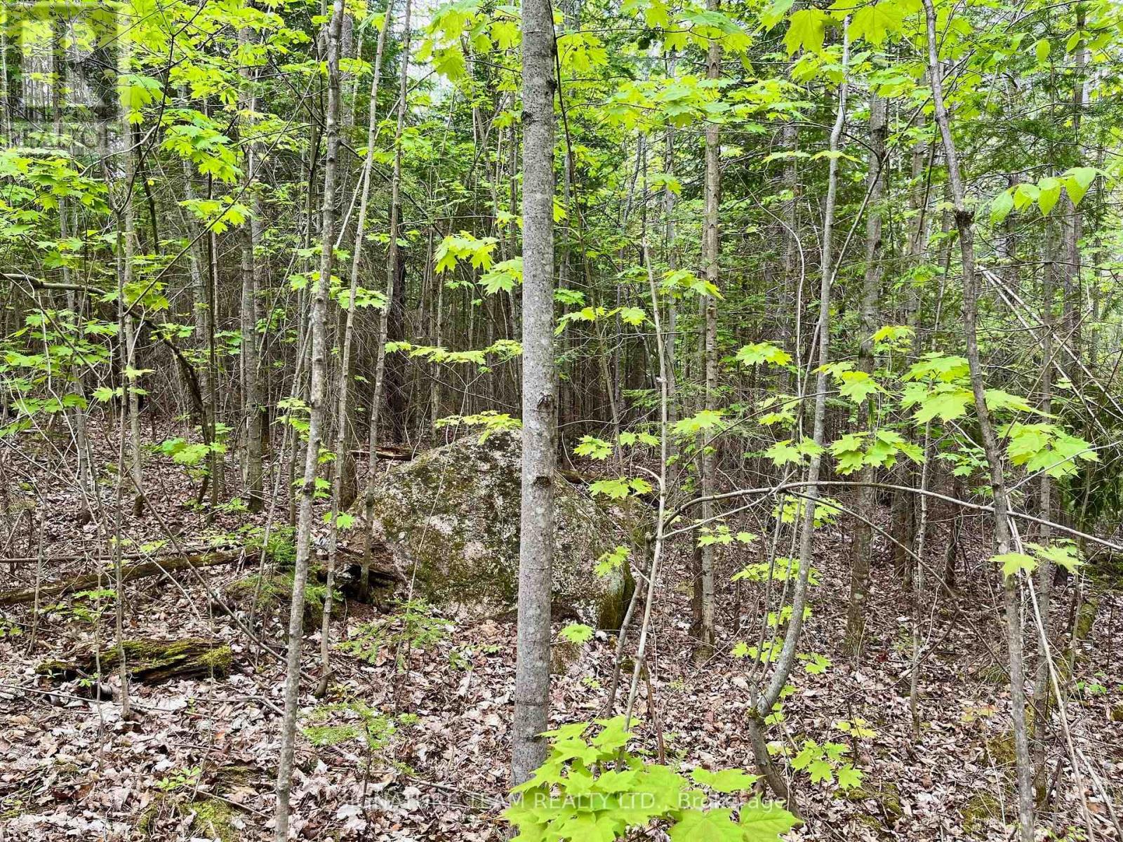 122 Western Drive, Bonnechere Valley, Ontario  K0J 1T0 - Photo 14 - X12467857