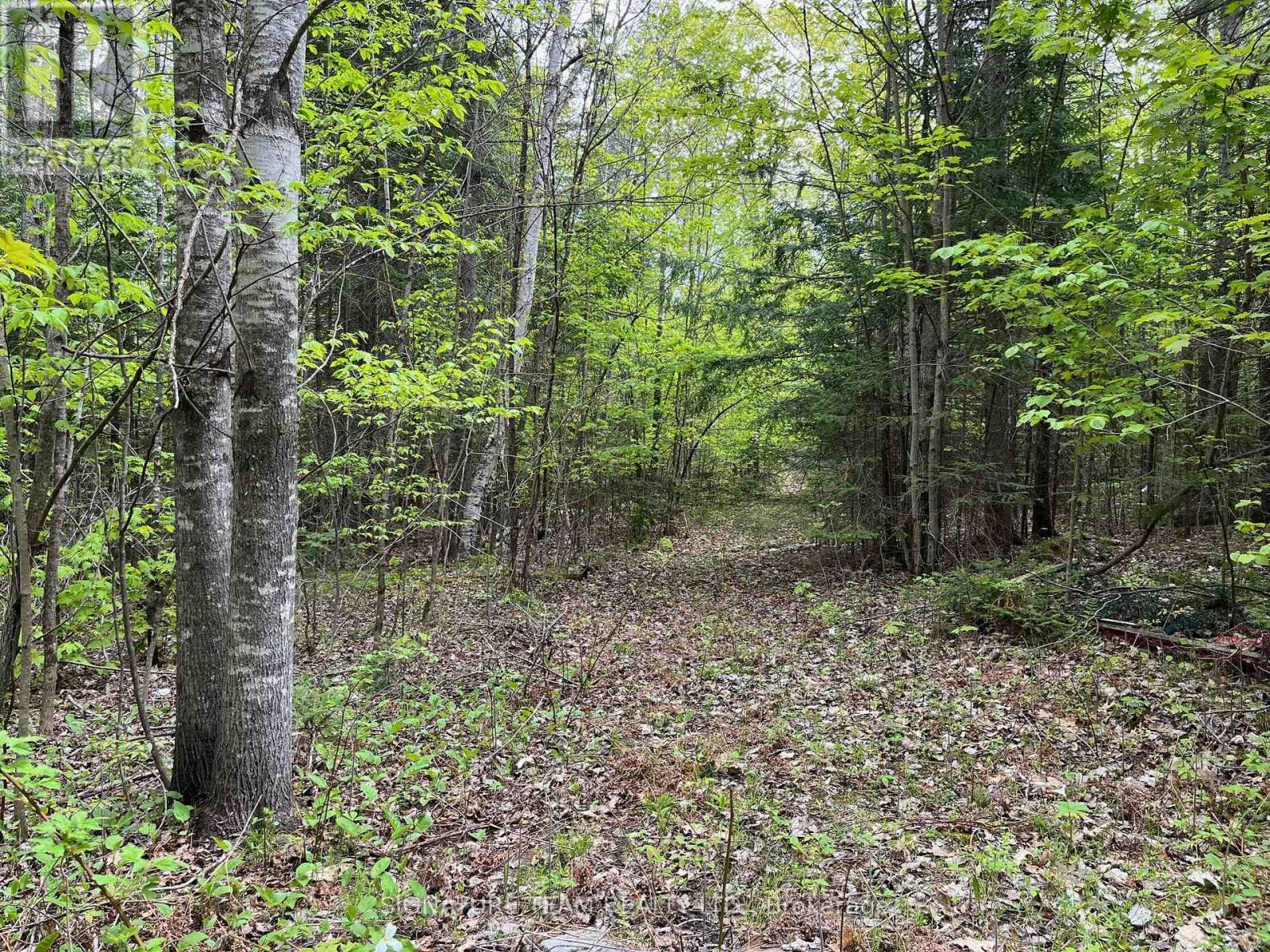 122 Western Drive, Bonnechere Valley, Ontario  K0J 1T0 - Photo 16 - X12467857