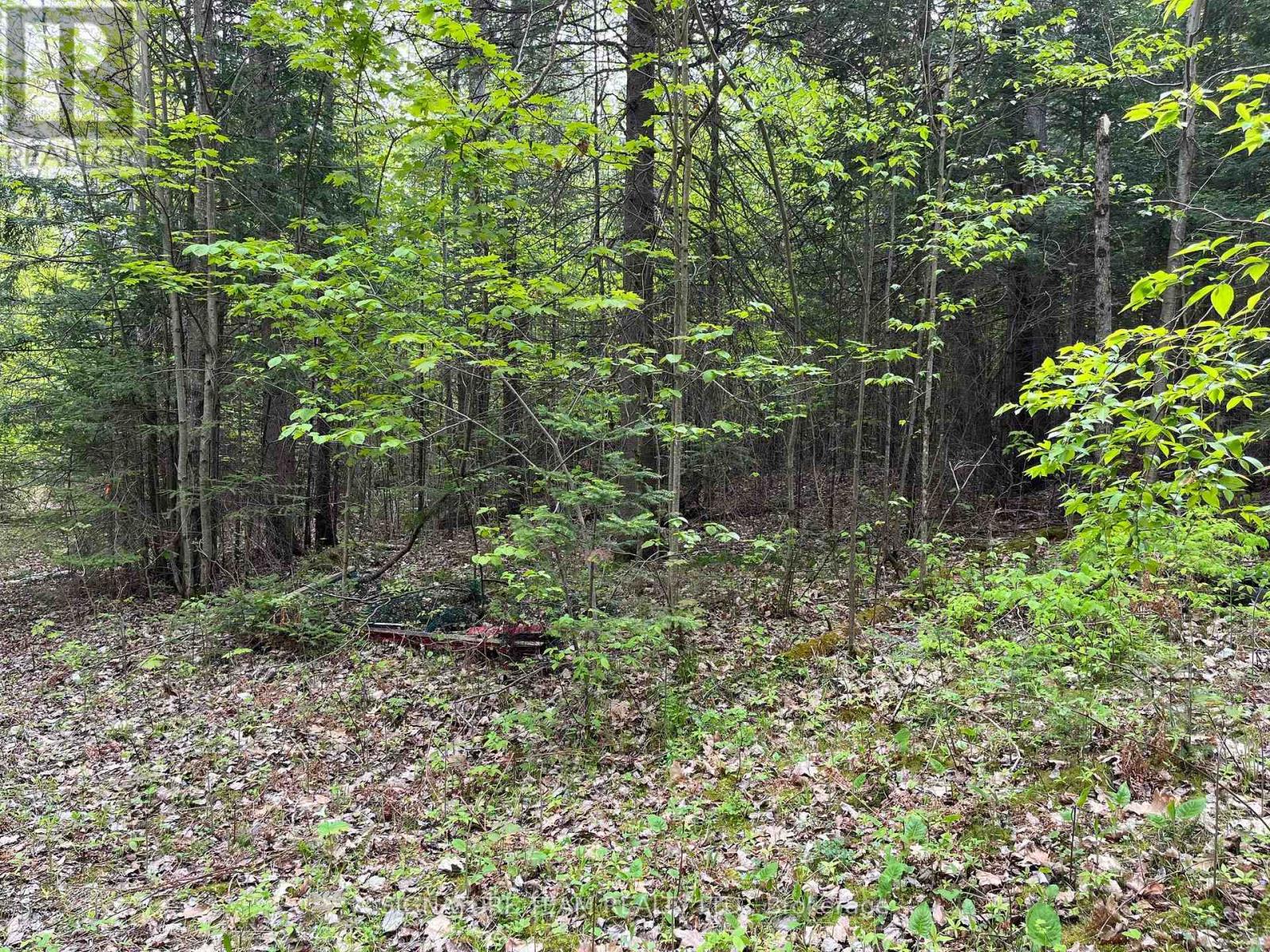 122 Western Drive, Bonnechere Valley, Ontario  K0J 1T0 - Photo 17 - X12467857