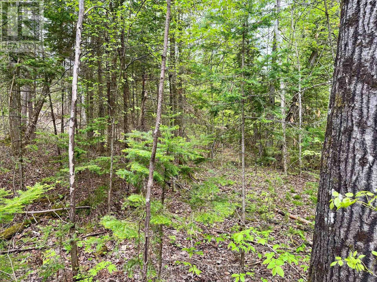 122 Western Drive, Bonnechere Valley, Ontario  K0J 1T0 - Photo 20 - X12467857