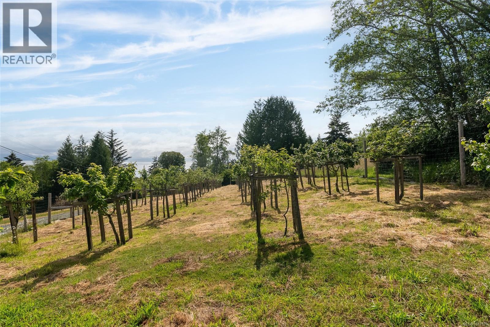 8750 West Coast Rd, Sooke, British Columbia  V9Z 1H2 - Photo 39 - 1017670