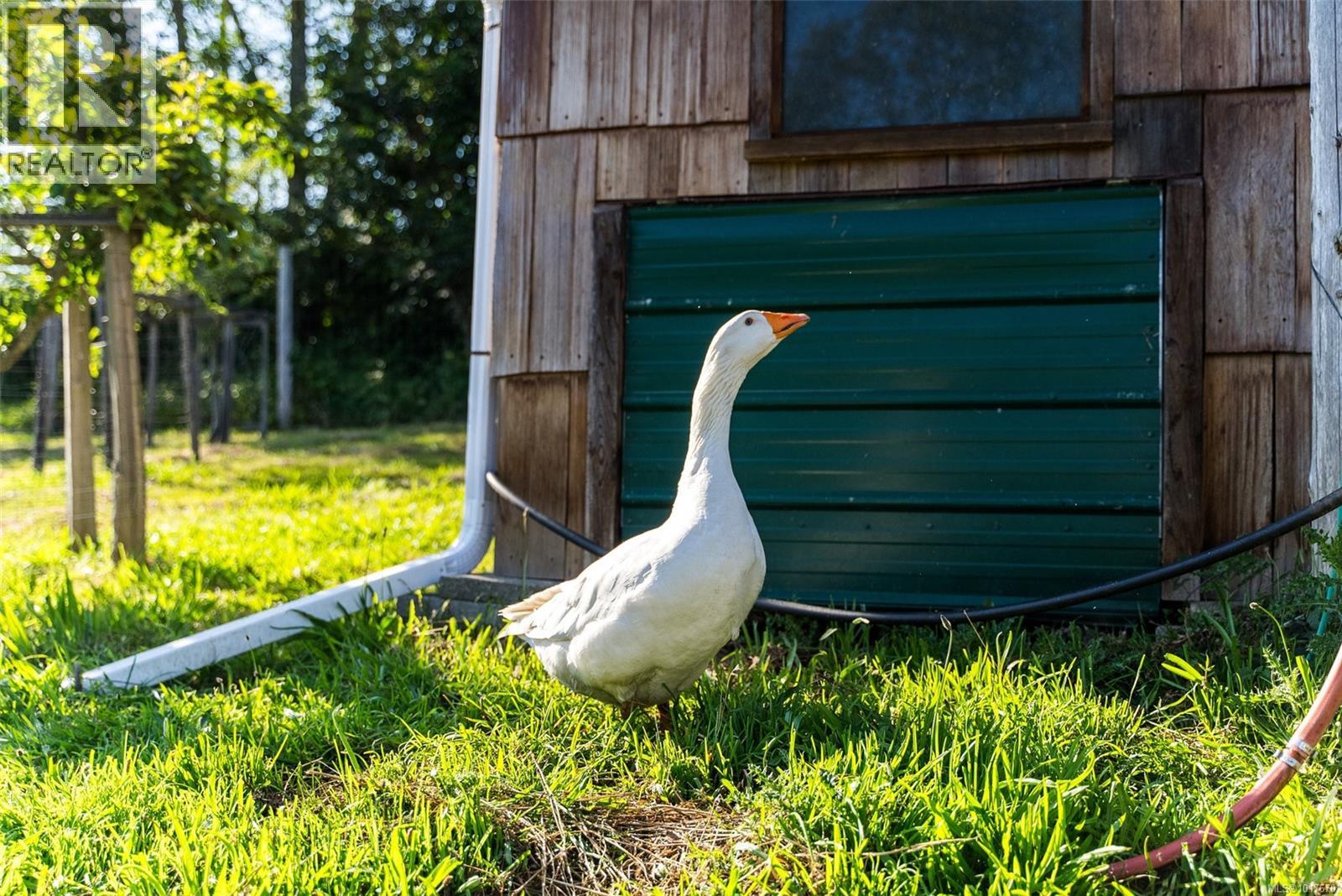 8750 West Coast Rd, Sooke, British Columbia  V9Z 1H2 - Photo 56 - 1017670