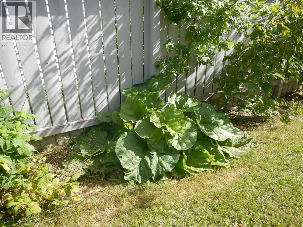 10829 106 Avenue, Fairview, Alberta  T0H 1L0 - Photo 2 - A2239144