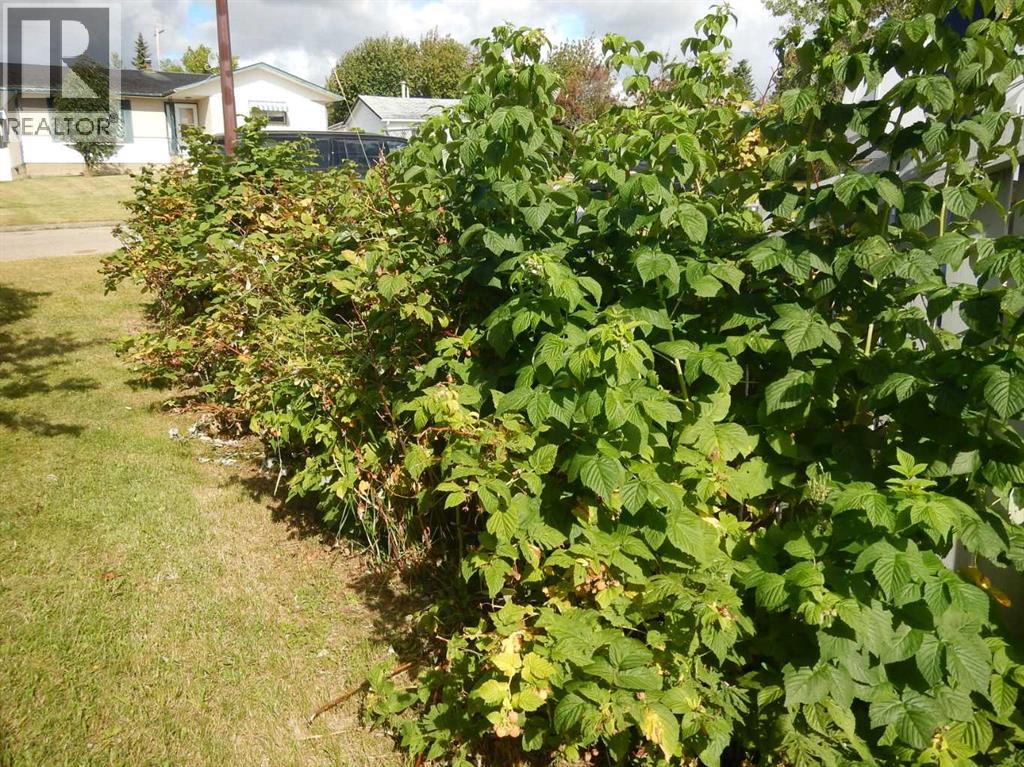 10829 106 Avenue, Fairview, Alberta  T0H 1L0 - Photo 3 - A2239144