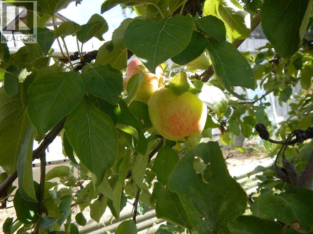 10829 106 Avenue, Fairview, Alberta  T0H 1L0 - Photo 9 - A2239144