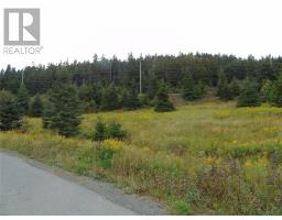 0 Southside Lance Cove Road, Bell Island, Newfoundland & Labrador