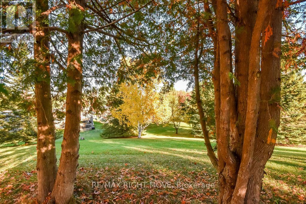95 Cameron Drive, Oro-Medonte, Ontario  L0L 1T0 - Photo 8 - S12467906