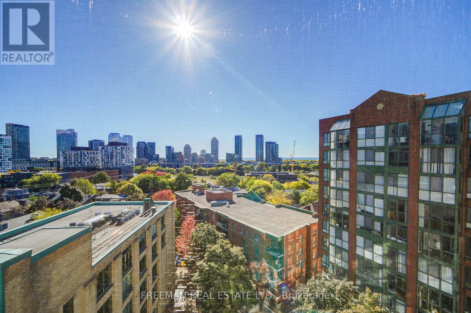 1124 - 801 King Street W, Toronto, Ontario  M5V 1N4 - Photo 13 - C12467957