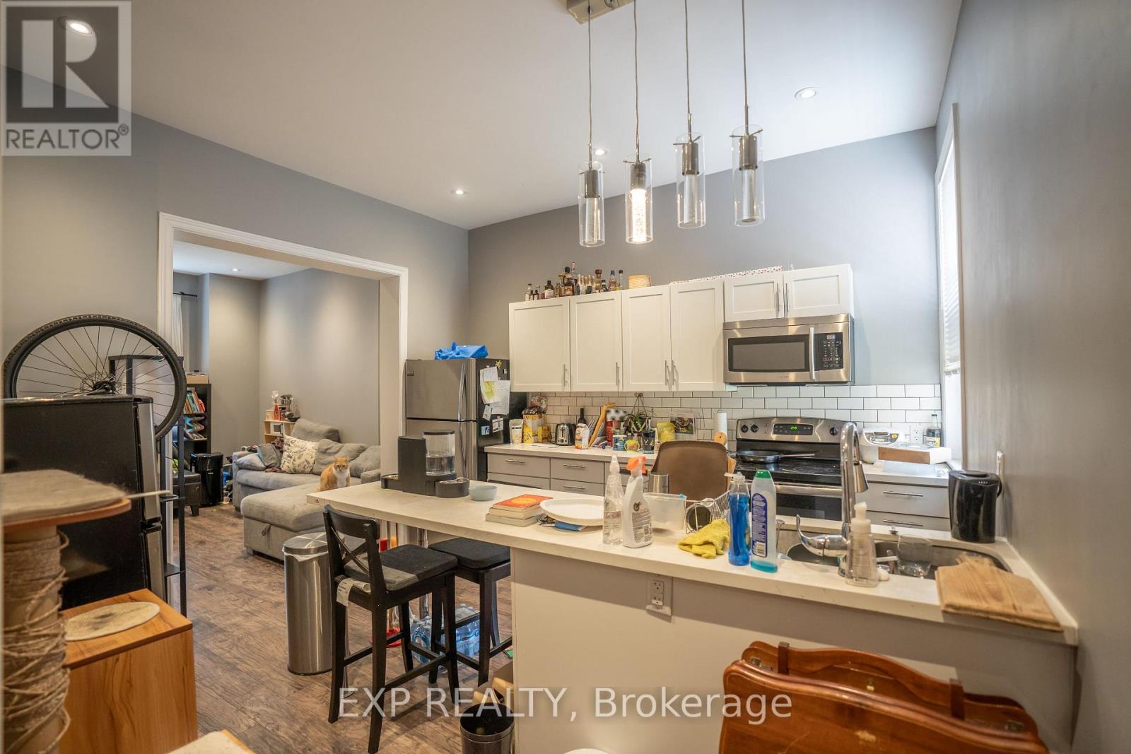 163 Emerald Street N, Hamilton, Ontario  L8L 5K9 - Photo 29 - X12467898