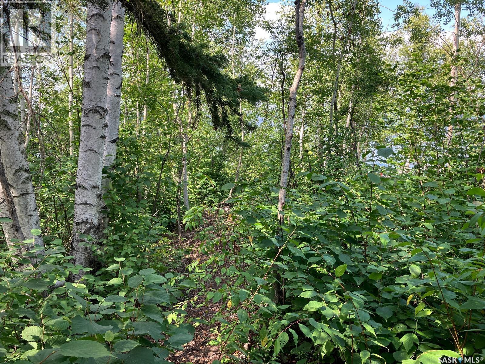 1 Birch Place, Nipawin Rm No. 487, Saskatchewan  S0E 1E0 - Photo 37 - SK013607